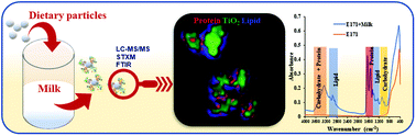 Graphical abstract: Protein–biomolecule interactions play a major role in shaping corona proteome: studies on milk interacted dietary particles