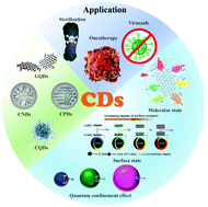 Graphical abstract: Highly fluorescent carbon dots as novel theranostic agents for biomedical applications