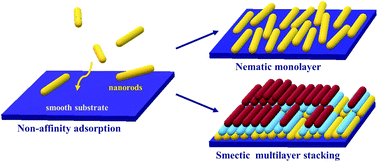 Graphical abstract: Interfacial assembly of nanorods: smectic alignment and multilayer stacking