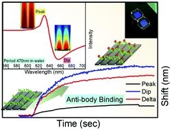 Graphical abstract: Self-referencing biosensors using Fano resonance in periodic aluminium nanostructures