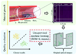 Graphical abstract: Quantifying the CVD-grown two-dimensional materials via image clustering