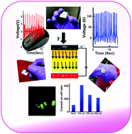 Graphical abstract: 2D WS2 embedded PVDF nanocomposites for photosensitive piezoelectric nanogenerators with a colossal energy conversion efficiency of ∼25.6%