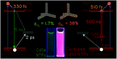 Graphical abstract: Intense photoluminescence from Cu-doped CdSe nanotetrapods triggered by ultrafast hole capture