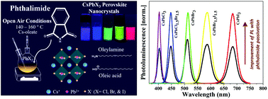Graphical abstract: Enhancement of photoluminescence and the stability of CsPbX3 (X = Cl, Br, and I) perovskite nanocrystals with phthalimide passivation