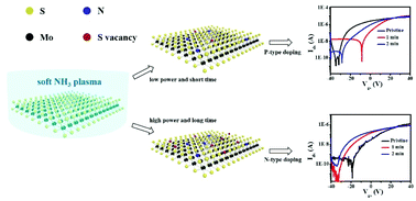 Graphical abstract: Bidirectional doping of two-dimensional thin-layer transition metal dichalcogenides using soft ammonia plasma