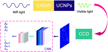 Graphical abstract: Core–shell NaErF4@NaYF4 upconversion nanoparticles qualify as a NIR speckle wavemeter for a visible CCD