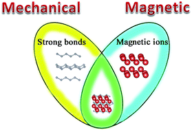 Graphical abstract: An electrically conductive and ferromagnetic nano-structure manganese mono-boride with high Vickers hardness