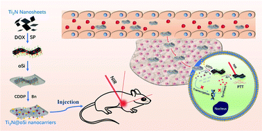 Graphical abstract: A Ti2N MXene-based nanosystem with ultrahigh drug loading for dual-strategy synergistic oncotherapy