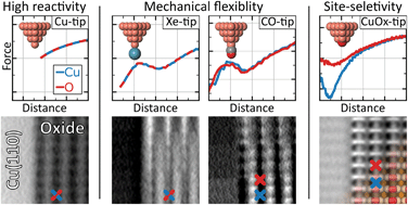 Graphical abstract: Benchmarking atomically defined AFM tips for chemical-selective imaging