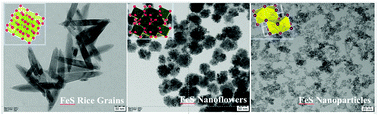 Graphical abstract: Iron sulphide rice grain nanostructures as potential electrocatalysts for an improved oxygen evolution reaction
