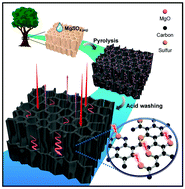 Graphical abstract: Sulfur-doped wood-derived porous carbon for optimizing electromagnetic response performance