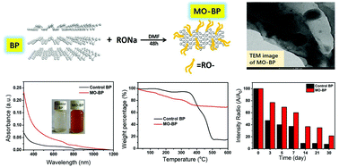 Graphical abstract: Covalent modification of black phosphorus with alkoxy groups to improve the solubility and ambient stability