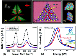 Graphical abstract: Tuning photoluminescence spectra of MoS2 with liquid crystals