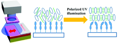 Graphical abstract: Micro-patterned photoalignment of CsPbBr3 nanowires with liquid crystal molecule composite film for polarized emission