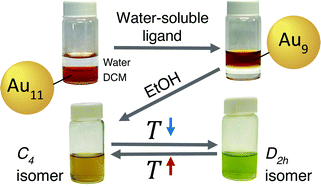 Graphical abstract: Synthesis and solution isomerization of water-soluble Au9 nanoclusters prepared by nuclearity conversion of [Au11(PPh3)8Cl2]Cl