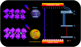 Graphical abstract: Ni2+ and Pr3+ Co-doped CsPbCl3 perovskite quantum dots with efficient infrared emission at 1300 nm
