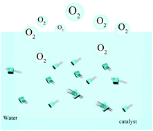 Graphical abstract: Interface engineering triggered by carbon nanotube-supported multiple sulfides for boosting oxygen evolution