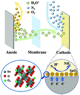 Graphical abstract: Electrochemically synthesized SnO2 with tunable oxygen vacancies for efficient electrocatalytic nitrogen fixation