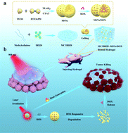 Graphical abstract: Near-infrared light-responsive hybrid hydrogels for the synergistic chemo-photothermal therapy of oral cancer