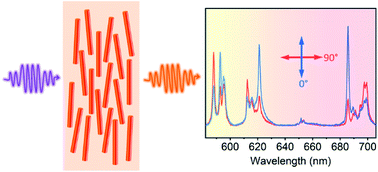 Graphical abstract: Monazite LaPO4:Eu3+ nanorods as strongly polarized nano-emitters