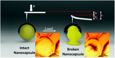 Graphical abstract: Tailoring the mechanoresponsive release from silica nanocapsules