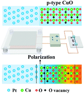 Graphical abstract: Tunable Schottky barrier height of a Pt–CuO junction via a triboelectric nanogenerator
