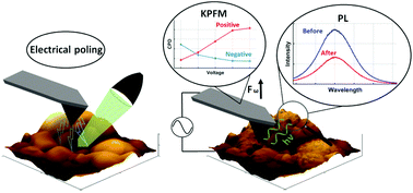 Graphical abstract: Ion-driven nanograin formation in early-stage degradation of tri-cation perovskite films