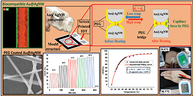 Graphical abstract: Highly sensitive, flexible and biocompatible temperature sensor utilizing ultra-long Au@AgNW-based polymeric nanocomposites