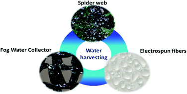 Graphical abstract: Biomimicking spider webs for effective fog water harvesting with electrospun polymer fibers
