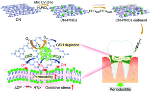 Graphical abstract: An efficient treatment of biofilm-induced periodontitis using Pt nanocluster catalysis