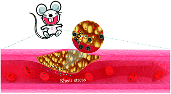 Graphical abstract: A ROS and shear stress dual-sensitive bionic system with cross-linked dendrimers for atherosclerosis therapy