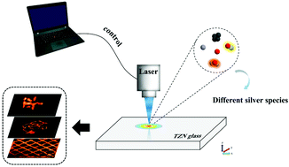 Graphical abstract: Laser-direct-writing of molecule-like Agmx+ nanoclusters in transparent tellurite glass for 3D volumetric optical storage