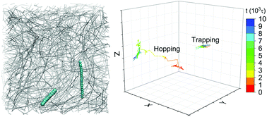Graphical abstract: Molecular simulation of the diffusion mechanism of nanorods in cross-linked networks