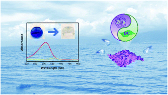 Graphical abstract: In situ anchoring Zn-doped ZIF-67 on carboxymethylated bacterial cellulose for effective indigo carmine capture