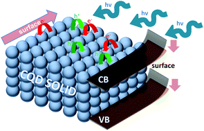 Graphical abstract: Surface band bending and carrier dynamics in colloidal quantum dot solids