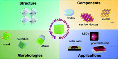 Graphical abstract: Encapsulation of lead halide perovskite nanocrystals (NCs) at the single-particle level: strategies and properties