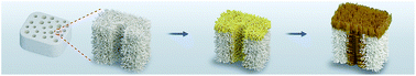 Graphical abstract: Deep and compact dentinal tubule occlusion via biomimetic mineralization and mineral overgrowth