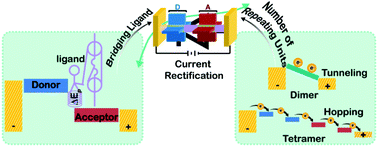 Graphical abstract: Tuning the current rectification behavior of Rh2-based molecular junctions by varying their supramolecular structures