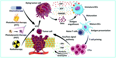 Graphical abstract: Chemotherapeutic drug-induced immunogenic cell death for nanomedicine-based cancer chemo–immunotherapy
