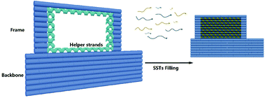 Graphical abstract: DNA origami frame filled with two types of single-stranded tiles