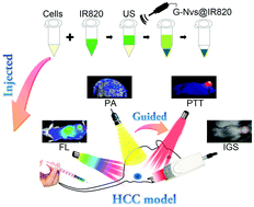 Graphical abstract: Bio-engineered nano-vesicles for IR820 delivery: a therapy platform for cancer by surgery and photothermal therapy