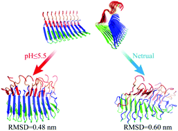 Graphical abstract: A buried glutamate in the cross-β core renders β-endorphin fibrils reversible