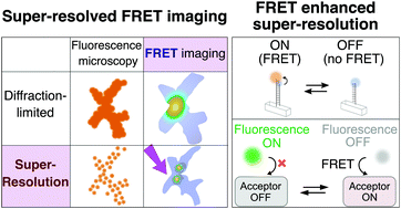 Graphical abstract: Super-resolution FRET measurements