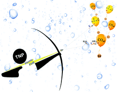 Graphical abstract: Well-designed internal electric field from nano-ferroelectrics promotes formic acid oxidation on Pd