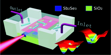 Graphical abstract: Reconfigurable label-free shape-sieving of submicron particles in paired chalcogenide waveguides