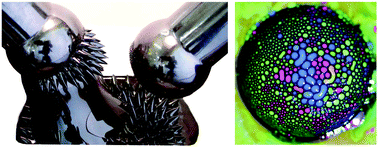 Graphical abstract: Ferrofluids and bio-ferrofluids: looking back and stepping forward