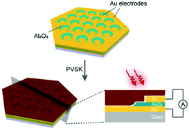 Graphical abstract: A nanomesh electrode for self-driven perovskite photodetectors with tunable asymmetric Schottky junctions