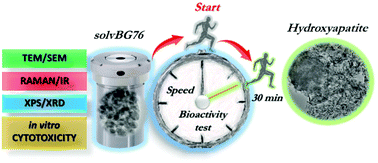 Graphical abstract: Solvothermally-derived nanoglass as a highly bioactive material