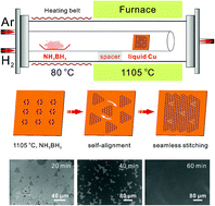 Graphical abstract: Self-aligned stitching growth of centimeter-scale quasi-single-crystalline hexagonal boron nitride monolayers on liquid copper