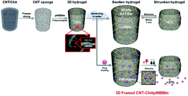 Graphical abstract: Electrical and thermal stimulus-responsive nanocarbon-based 3D hydrogel sponge for switchable drug delivery